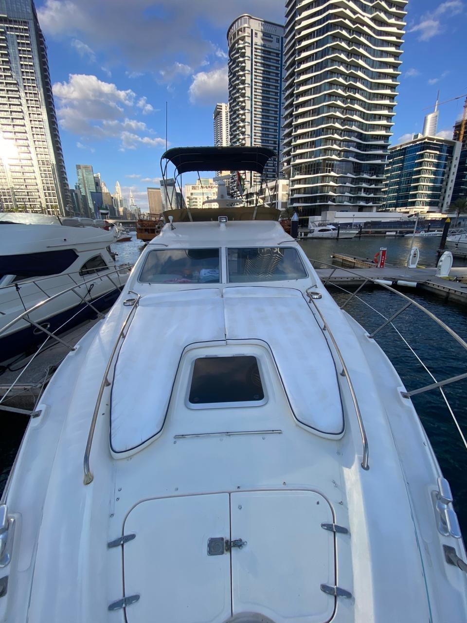 Tammy gallery image 5